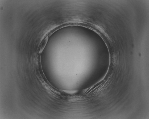 X0000067391356200603311248