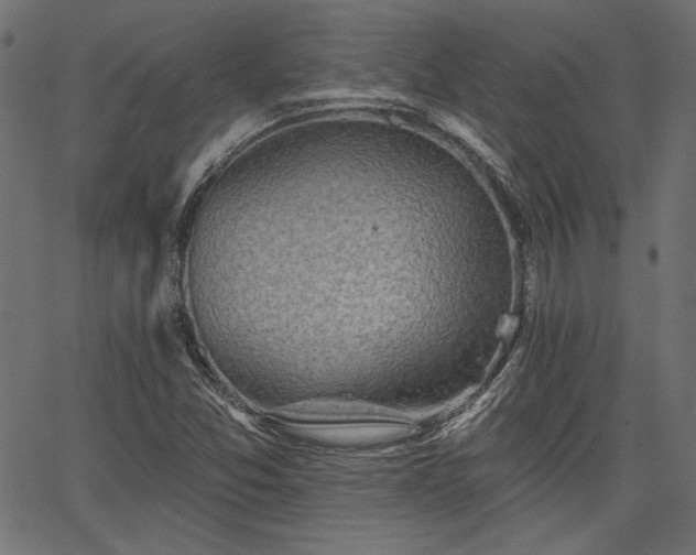 X0000067391357200603311248