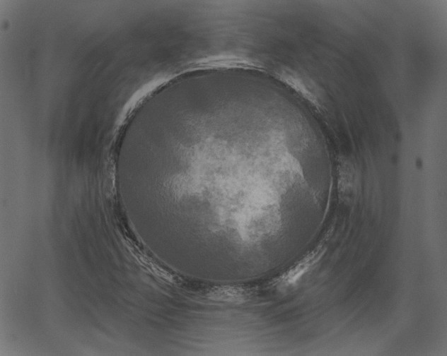 X0000067391358200603311248