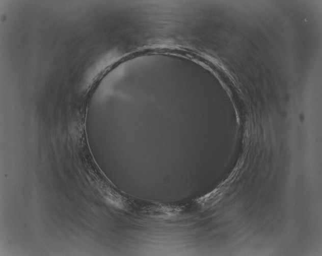 X0000067391359200603311248