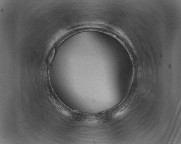 X0000067391360200603311248