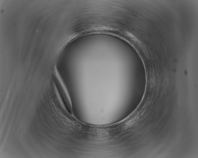 X0000067391361200603311248