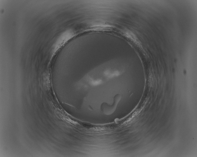 X0000067391362200603311248