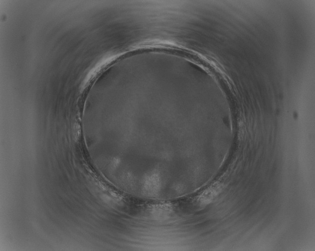 X0000067391363200603311248