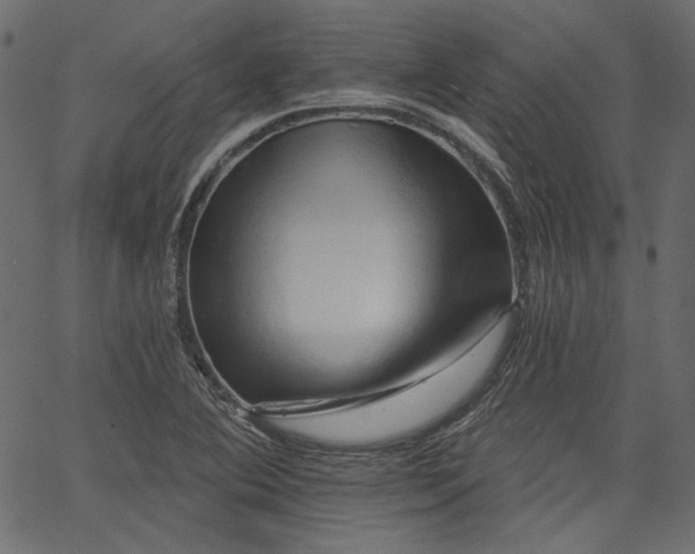 X0000067391364200603311248