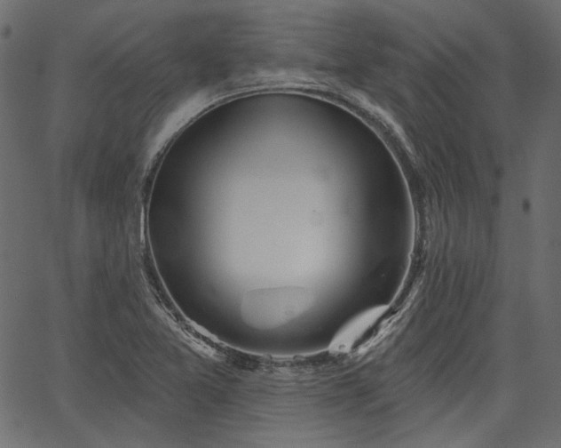 X0000067391365200603311248