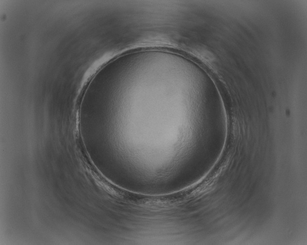 X0000067391366200603311248