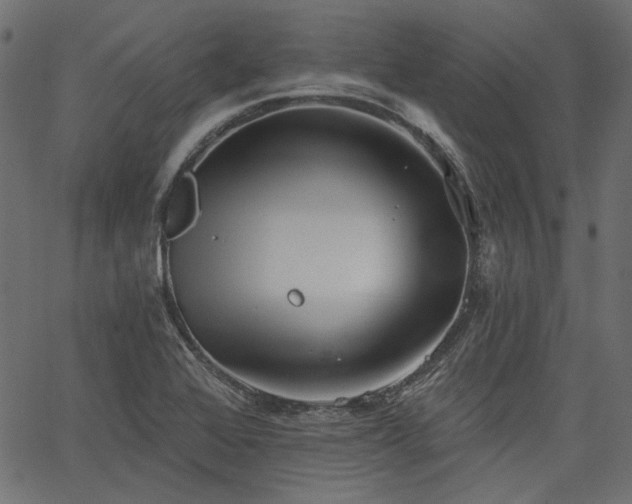 X0000067391368200603311248