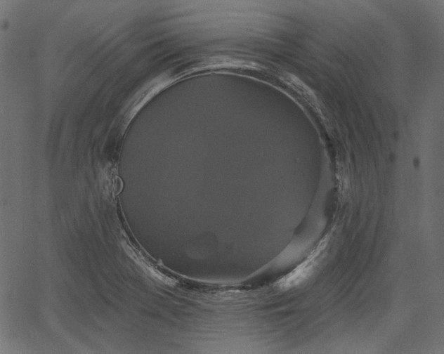 X0000067391369200603311248