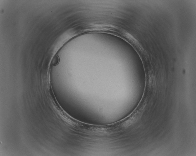 X0000067391370200603311248