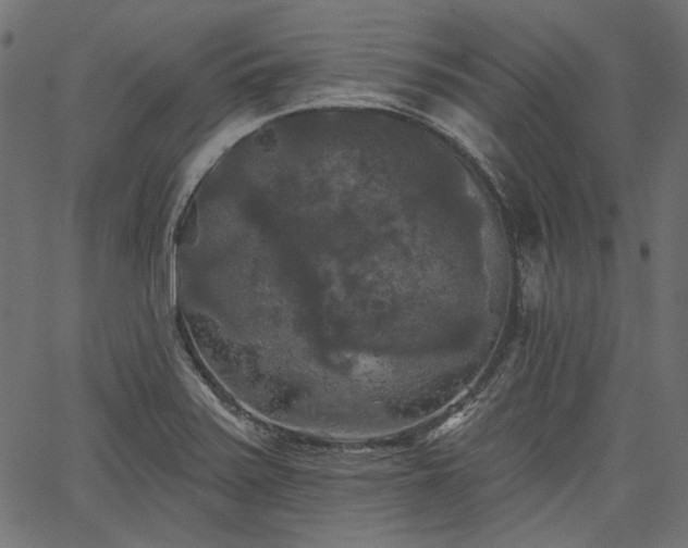 X0000067391371200603311248