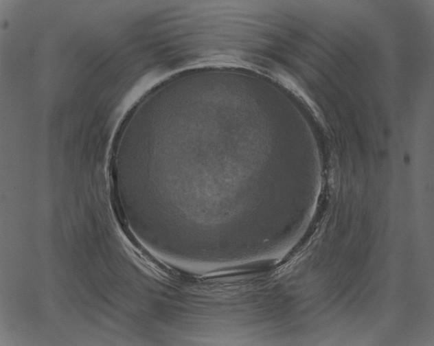 X0000067391372200603311248