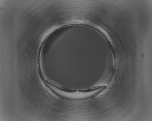 X0000067391373200603311248