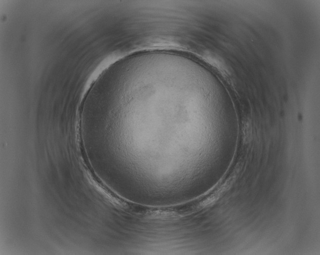 X0000067391374200603311248