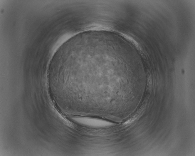 X0000067391375200603311248