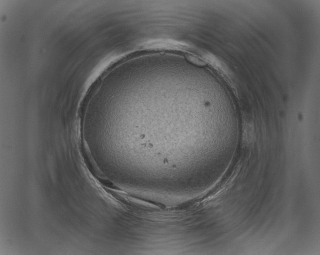 X0000067391376200603311248