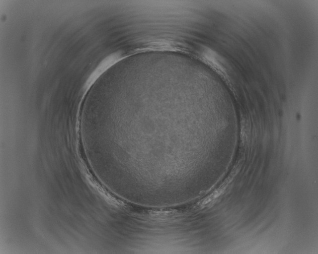 X0000067391378200603311248