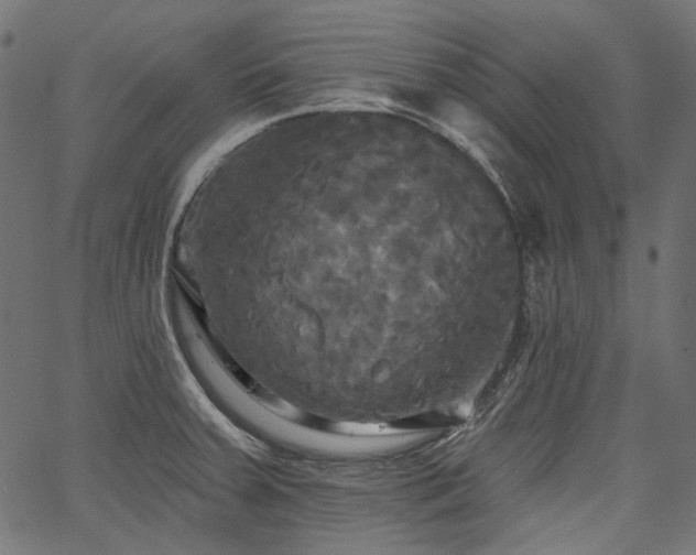 X0000067391379200603311248