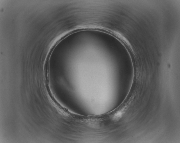 X0000067391380200603311248