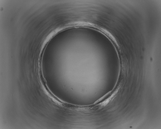 X0000067391381200603311248