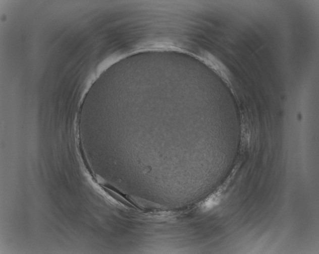 X0000067391382200603311248