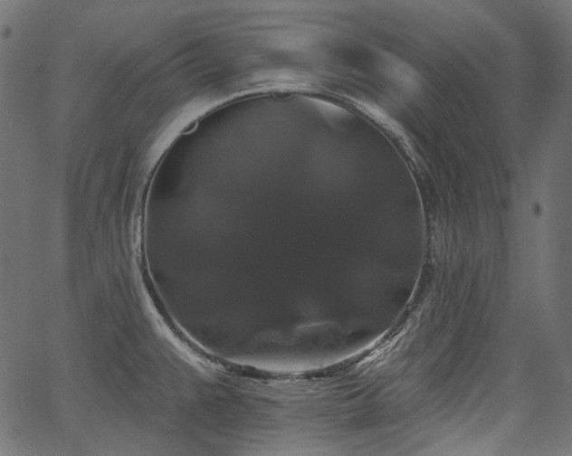 X0000067391383200603311248