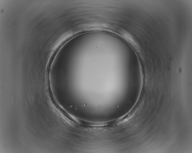 X0000067391384200603311248