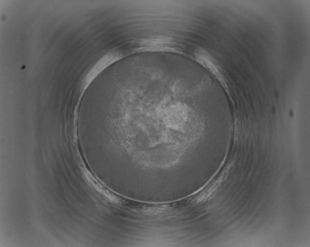 X0000067391386200603311248