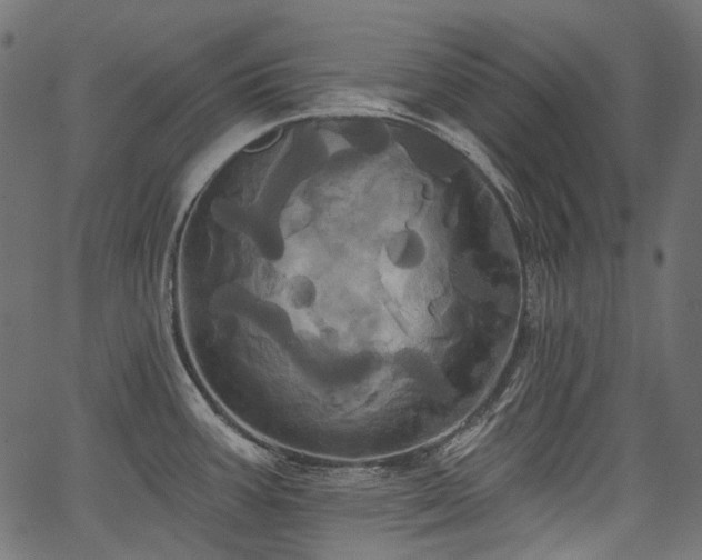 X0000067391387200603311248