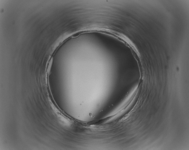 X0000067391388200603311248