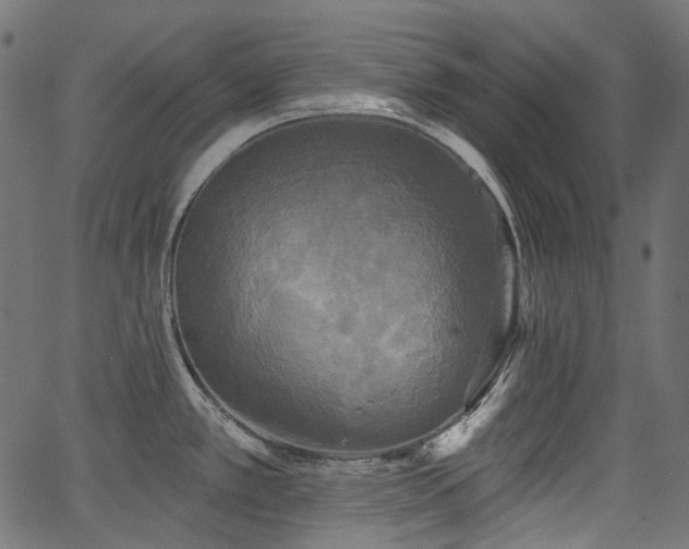 X0000067391389200603311248