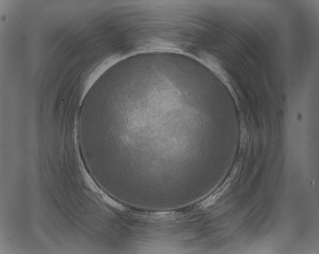 X0000067391390200603311248