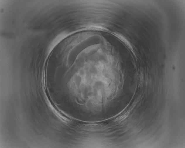 X0000067391391200603311248