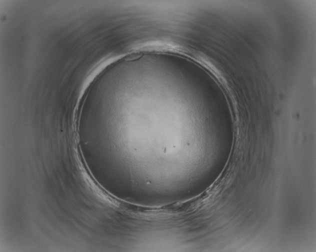 X0000067391392200603311248