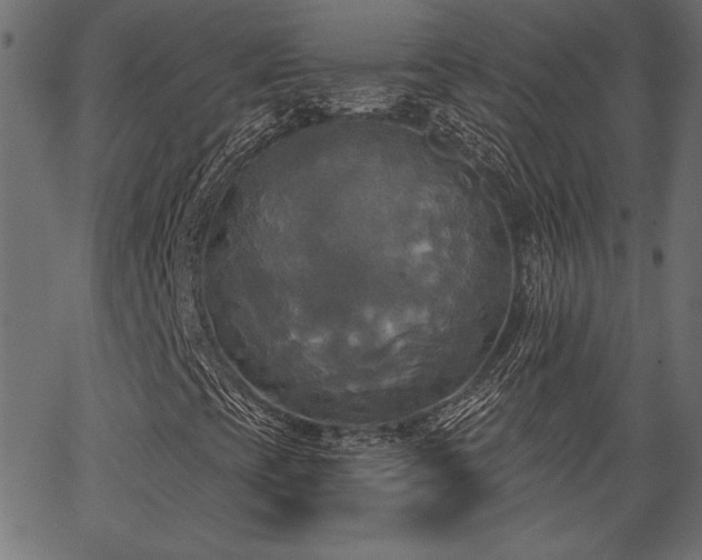 X0000067391393200603311247