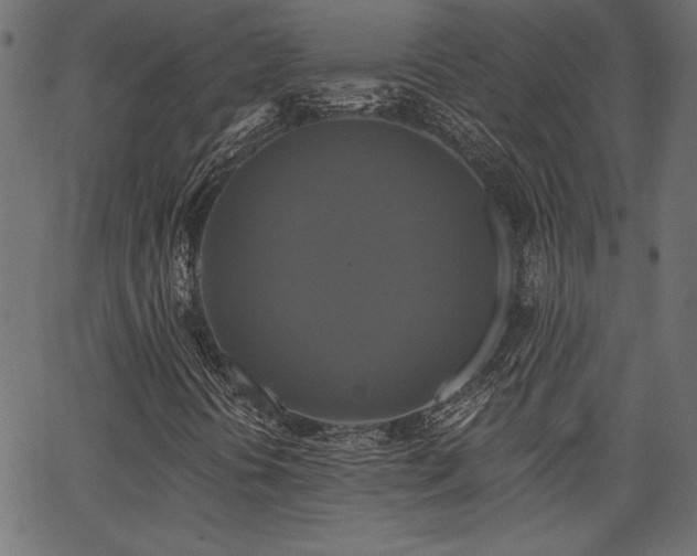 X0000067391394200603311247