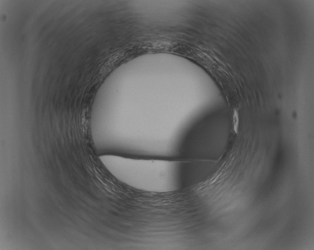 X0000067391395200603311247