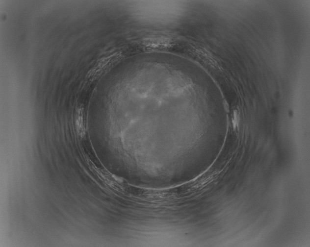 X0000067391396200603311247