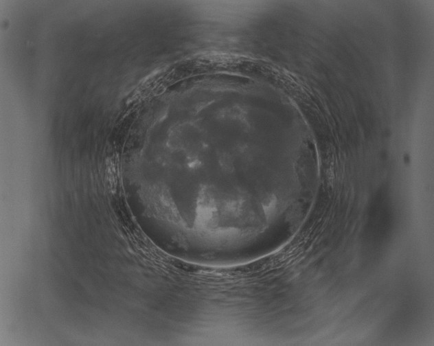 X0000067391397200603311247