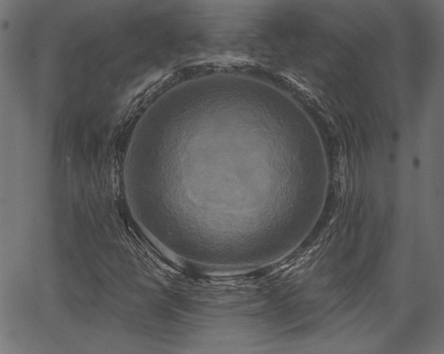 X0000067391398200603311247