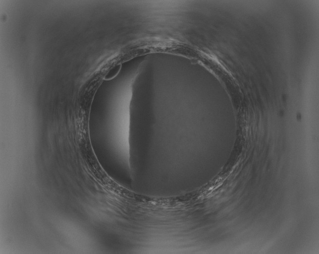 X0000067391399200603311247