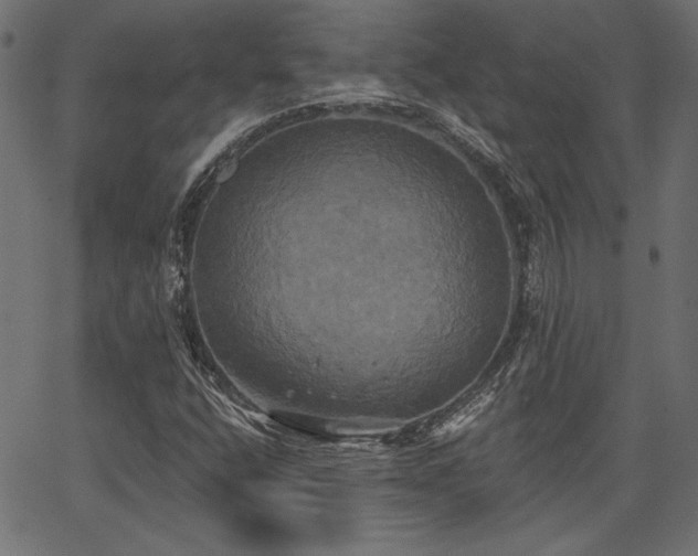 X0000067391400200603311247