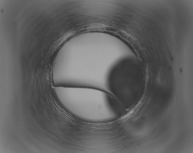 X0000067391401200603311247