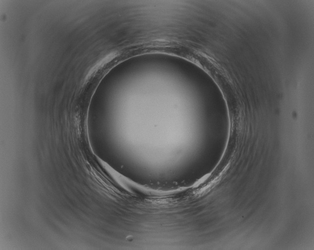 X0000067391402200603311247