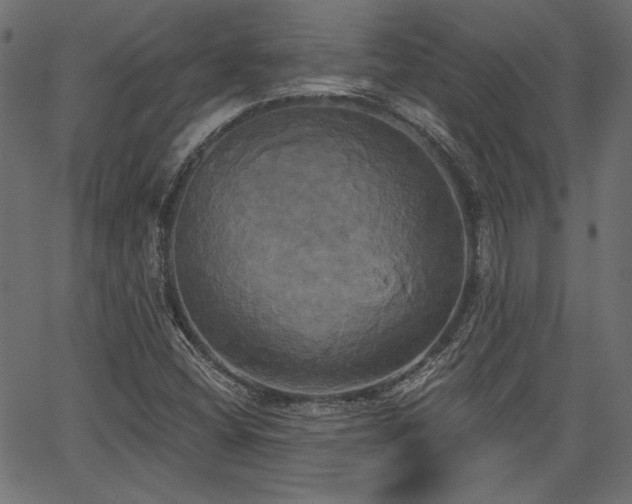 X0000067391404200603311247