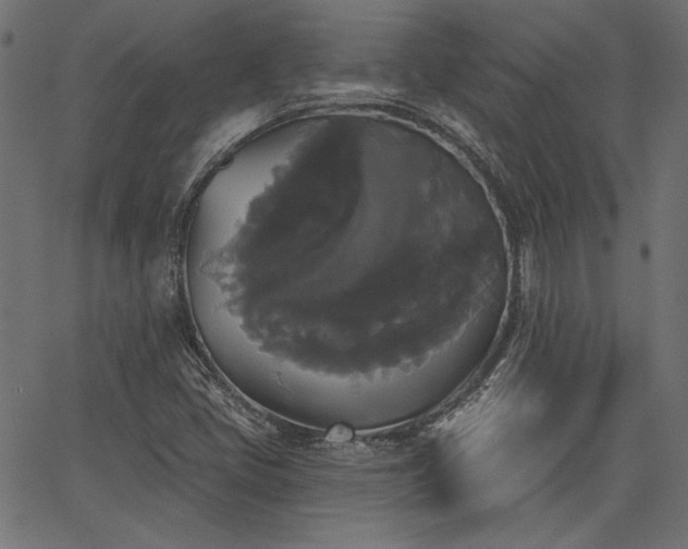 X0000067391405200603311247