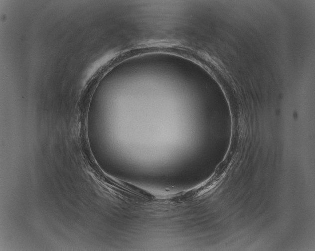 X0000067391406200603311247