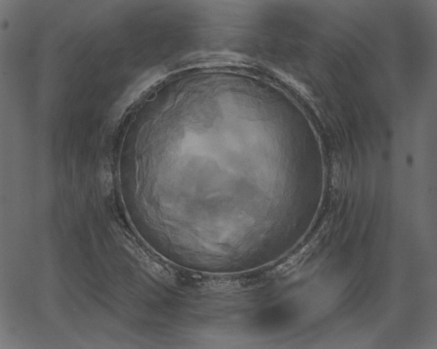 X0000067391407200603311247