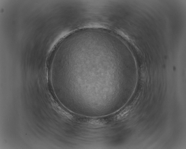 X0000067391408200603311247