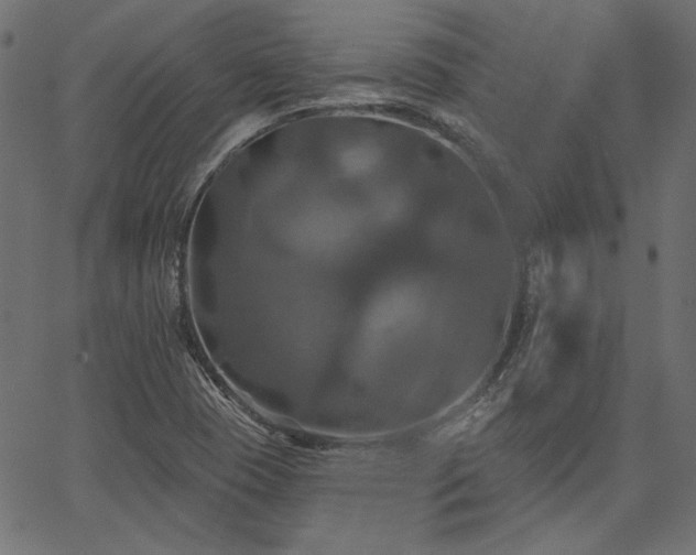 X0000067391409200603311247